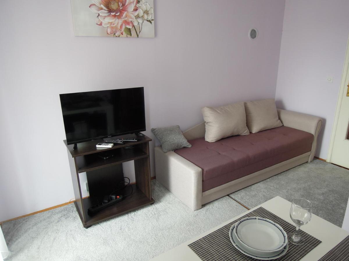 Classic Apartment Novi Sad Extérieur photo